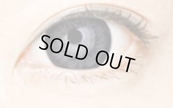 画像6: Super Venus ヴィーナスブラウン・グレー★追加－10.00まで【1年間/16mm/1枚(片目)】