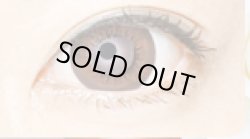 画像8: Super Venus ヴィーナスブラウン・グレー★追加－10.00まで【1年間/16mm/1枚(片目)】