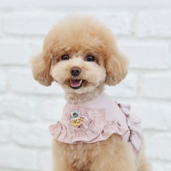 画像3: 日本未入荷/RITOGATO ベロシェフリルハーネス/ピンクLサイズのみ在庫有【送料無料】