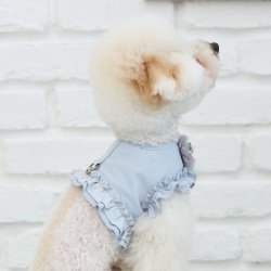 画像8: 日本未入荷/RITOGATO ベロシェフリルハーネス/ピンクLサイズのみ在庫有【送料無料】