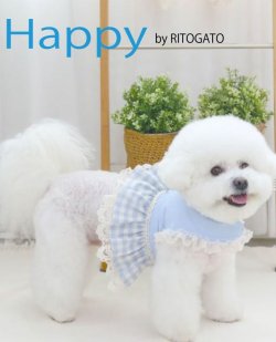 画像1: 日本未入荷/RITOGATO HAPPYハーネス