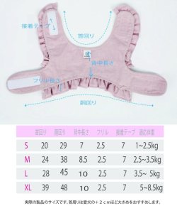 画像9: 日本未入荷/RITOGATO /モブリーフリルハーネス・コサージュ付き【送料無料】