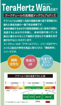 画像20: 【テラヘルツワン・ローリーポンチョ】（2色）[犬服][日本製] /ご注文より3〜４営業日以内に発送予定