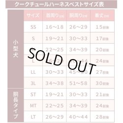 画像9: 【テラヘルツワン・ブリティッシュハーネス】（2色）[犬服][日本製] 【送料無料】