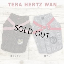画像3: 【テラヘルツワン・ブリティッシュハーネス】（2色）[犬服][日本製] 【送料無料】