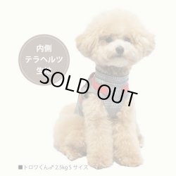 画像21: 【テラヘルツワン・ブリティッシュハーネス】（2色）[犬服][日本製] 【送料無料】
