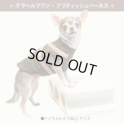 画像20: 【テラヘルツワン・ブリティッシュハーネス】（2色）[犬服][日本製] 【送料無料】