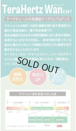 画像2: 【テラヘルツワン・ブリティッシュハーネス】（2色）[犬服][日本製] 【送料無料】