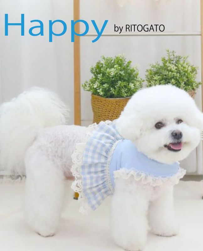 日本未入荷/RITOGATO HAPPYハーネス【送料無料】