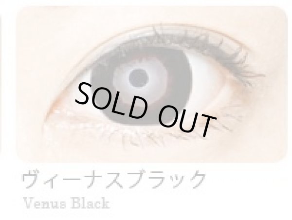 画像3: Super Venus ヴィーナスブラウン・グレー★追加-10.00まで【1年間/16mm/1枚(片目)】 (3)