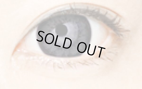 画像6: Super Venus ヴィーナスブラウン・グレー★追加-10.00まで【1年間/16mm/1枚(片目)】 (6)