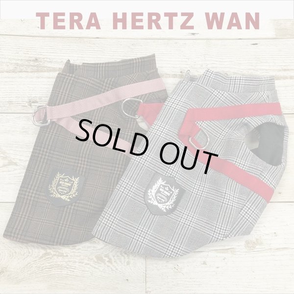 画像15: 【テラヘルツワン・ブリティッシュハーネス】（2色）[犬服][日本製] 【送料無料】 (15)