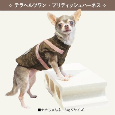 画像2: 【テラヘルツワン・ブリティッシュハーネス】（2色）[犬服][日本製] 【送料無料】