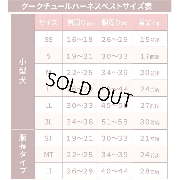 画像9: 【テラヘルツワン・ブリティッシュハーネス】（2色）[犬服][日本製] 【送料無料】 (9)