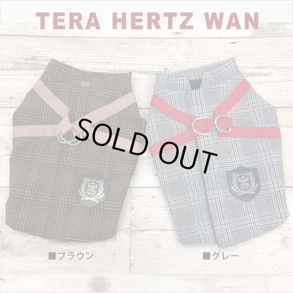 画像3: 【テラヘルツワン・ブリティッシュハーネス】（2色）[犬服][日本製] 【送料無料】 (3)