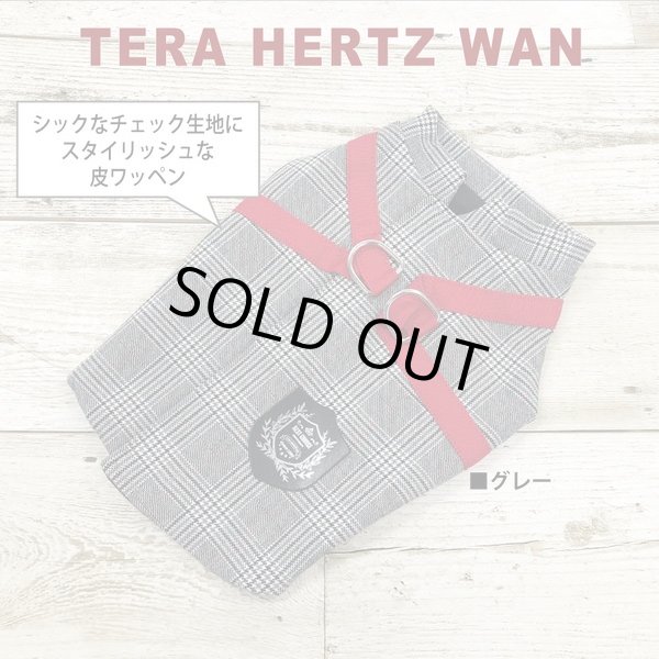 画像5: 【テラヘルツワン・ブリティッシュハーネス】（2色）[犬服][日本製] 【送料無料】 (5)