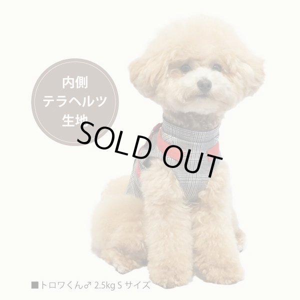 画像21: 【テラヘルツワン・ブリティッシュハーネス】（2色）[犬服][日本製] 【送料無料】 (21)