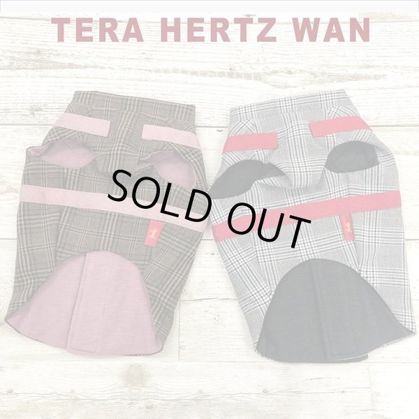 画像4: 【テラヘルツワン・ブリティッシュハーネス】（2色）[犬服][日本製] 【送料無料】 (4)