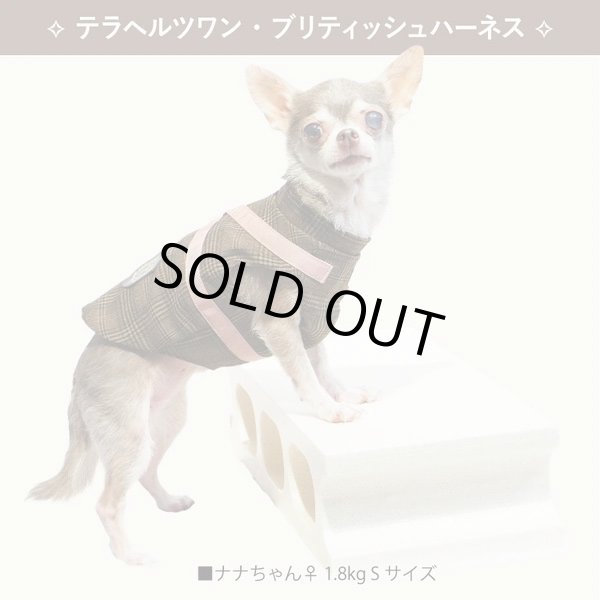 画像20: 【テラヘルツワン・ブリティッシュハーネス】（2色）[犬服][日本製] 【送料無料】 (20)