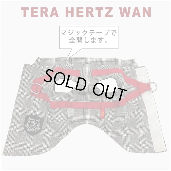 画像11: 【テラヘルツワン・ブリティッシュハーネス】（2色）[犬服][日本製] 【送料無料】 (11)