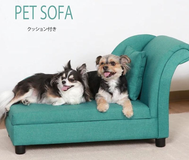 ペットカウチソファ(ビジュークッション付き）犬猫兼用/2色(グリーン